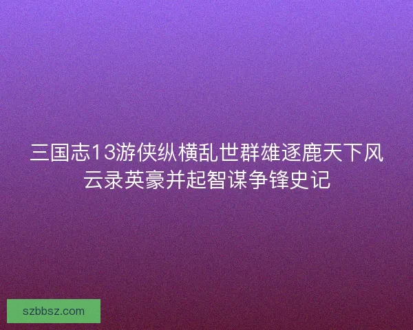 三国志13游侠纵横乱世群雄逐鹿天下风云录英豪并起智谋争锋史记