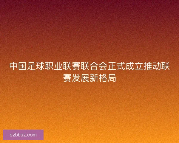 中国足球职业联赛联合会正式成立推动联赛发展新格局
