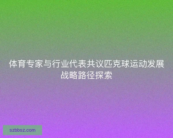体育专家与行业代表共议匹克球运动发展战略路径探索